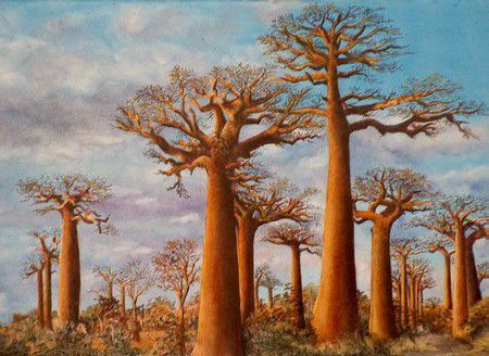 Baobabs (peinture sur porcelaine)